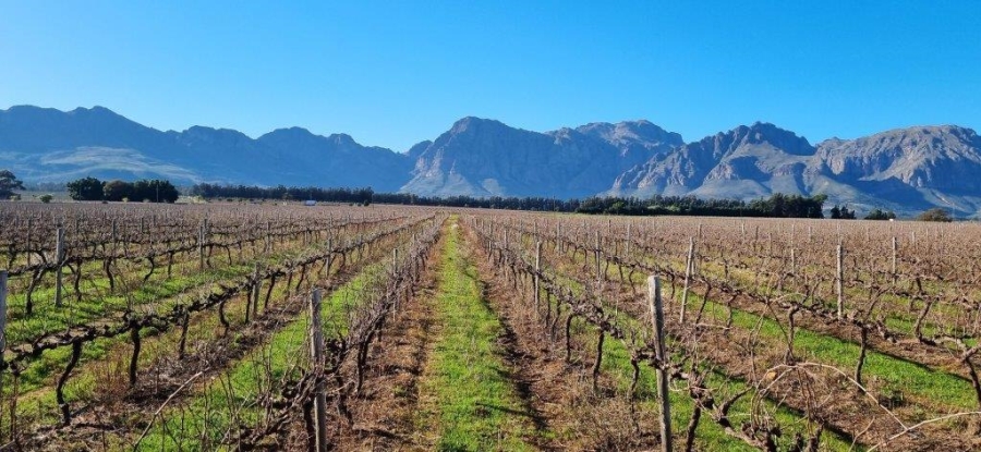 0 Bedroom Property for Sale in Paarl Rural Western Cape